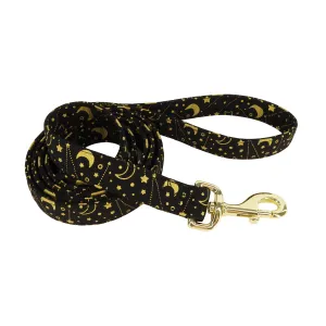 Accent Metallic Dog Leash Stars 1 x 6 '