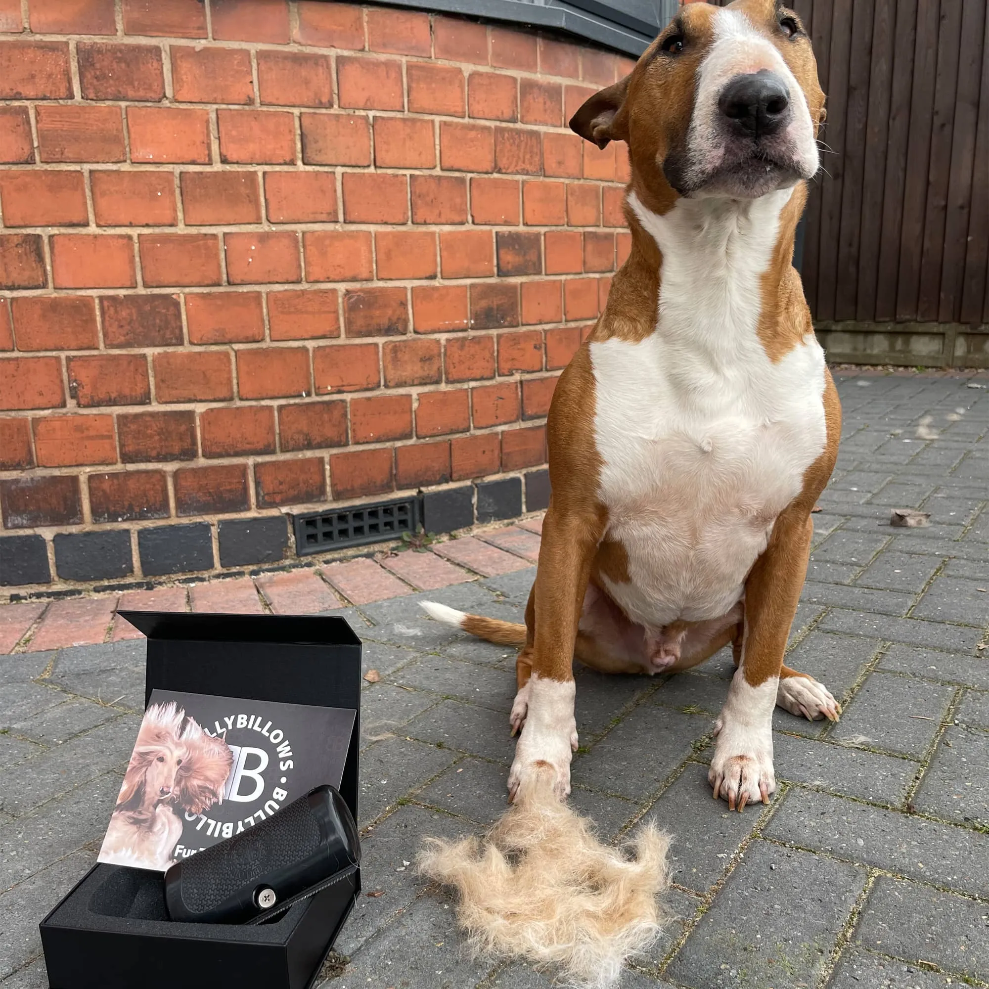 Dog Deshedding Comb - Dog, Horse & Cat - Black