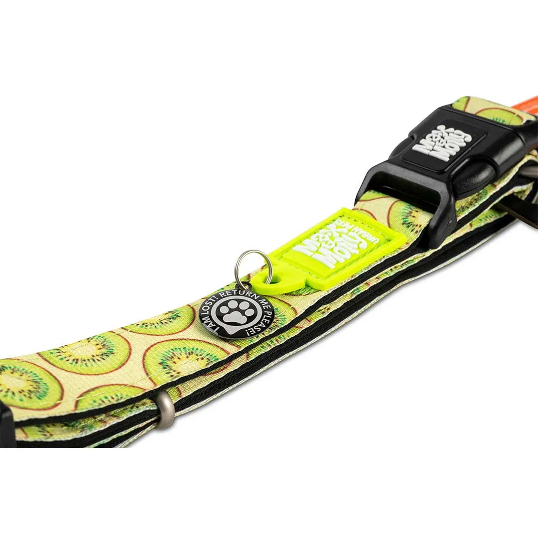 Max & Molly Kiwi Smart ID Dog Collar Medium^^^