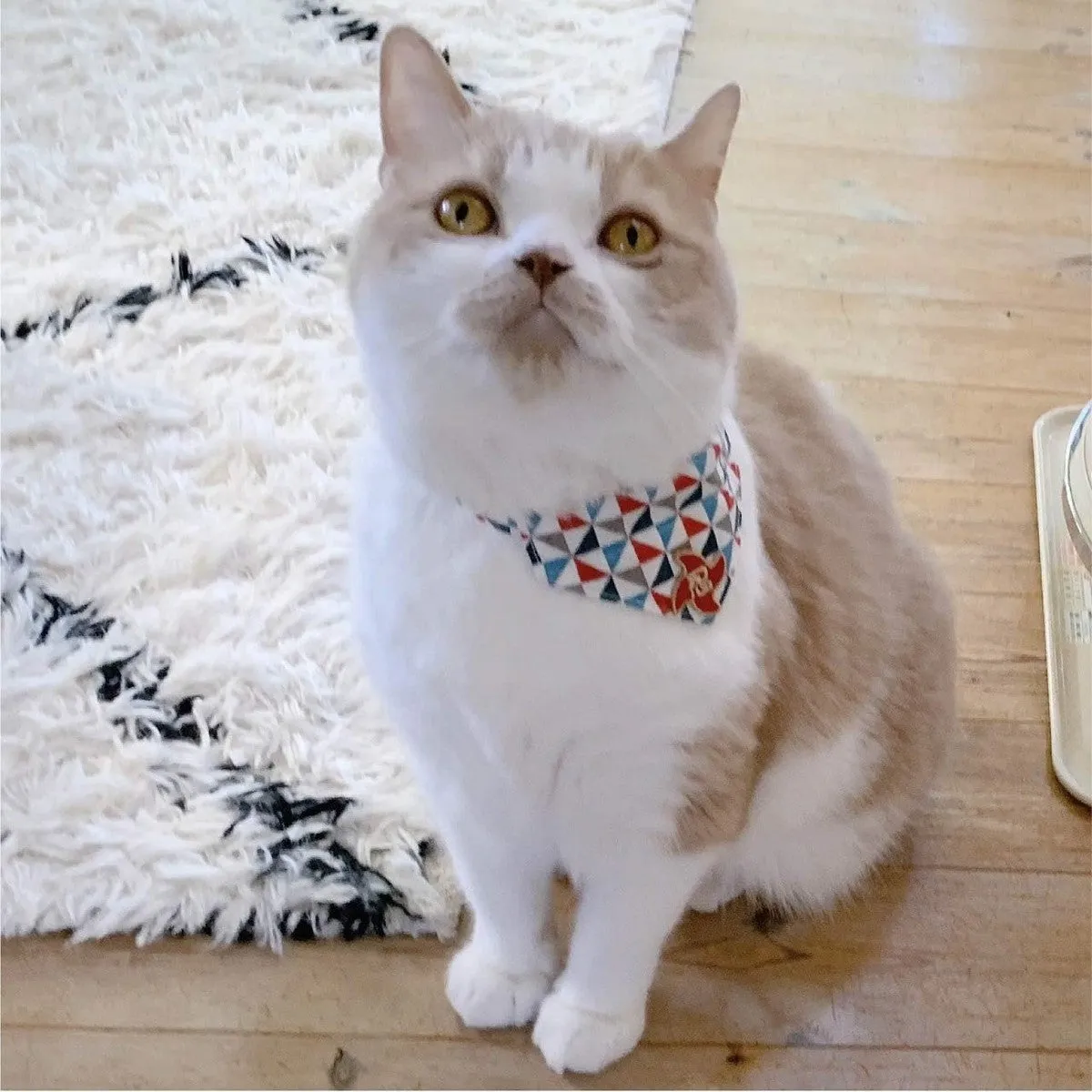 Necoichi Ninja Cat Bandana Collar Blue