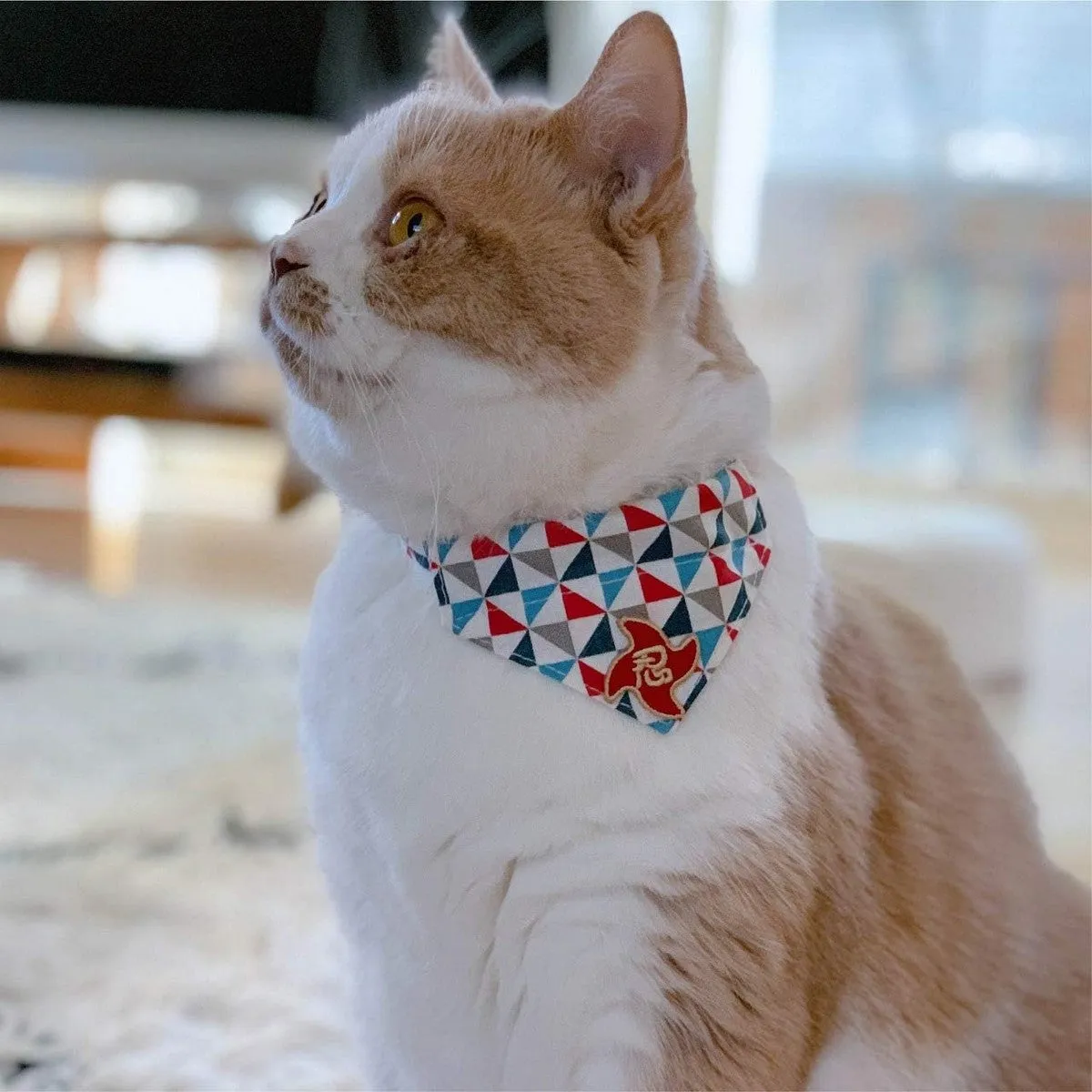 Necoichi Ninja Cat Bandana Collar Blue