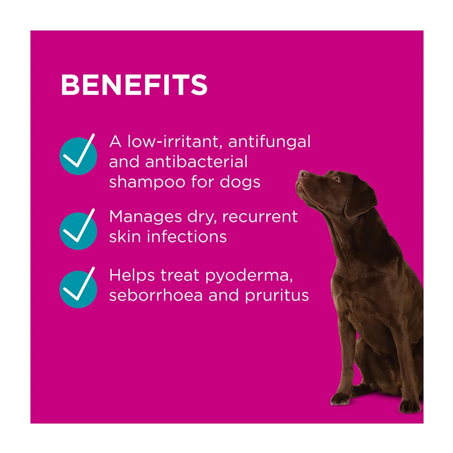 PAW MediDerm Gentle Medicated Shampoo for Dogs 500ml