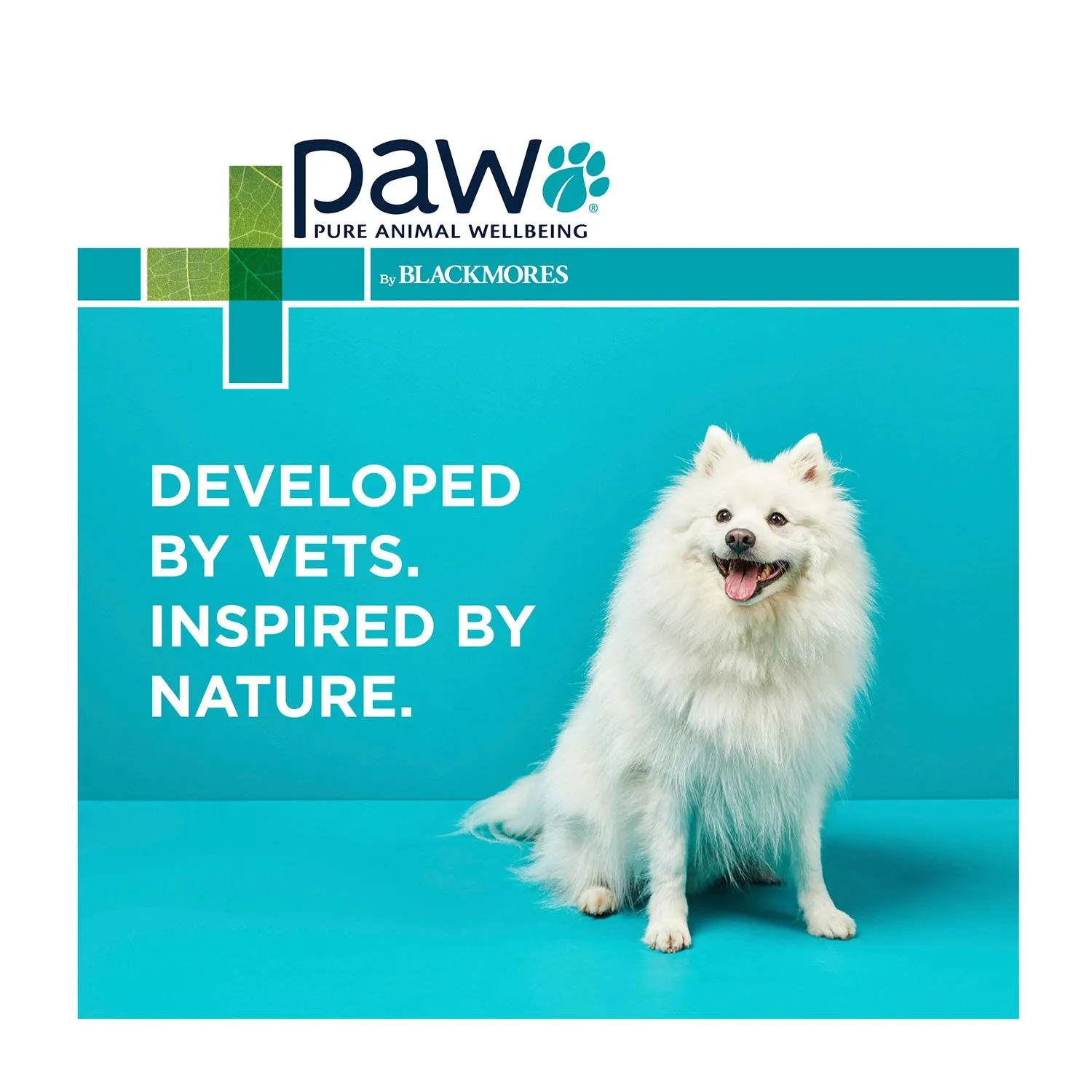 PAW MediDerm Gentle Medicated Shampoo for Dogs 500ml