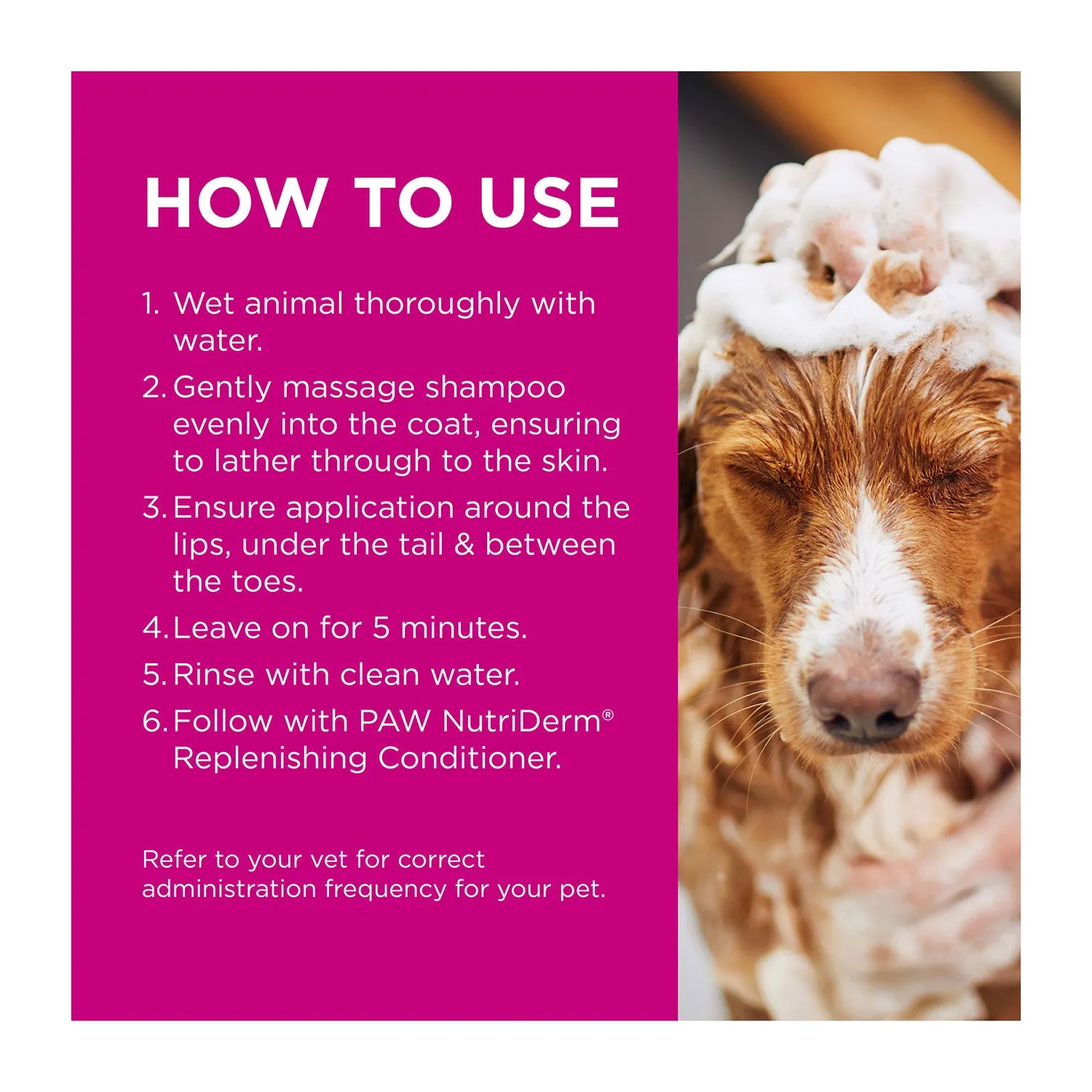PAW MediDerm Gentle Medicated Shampoo for Dogs 500ml
